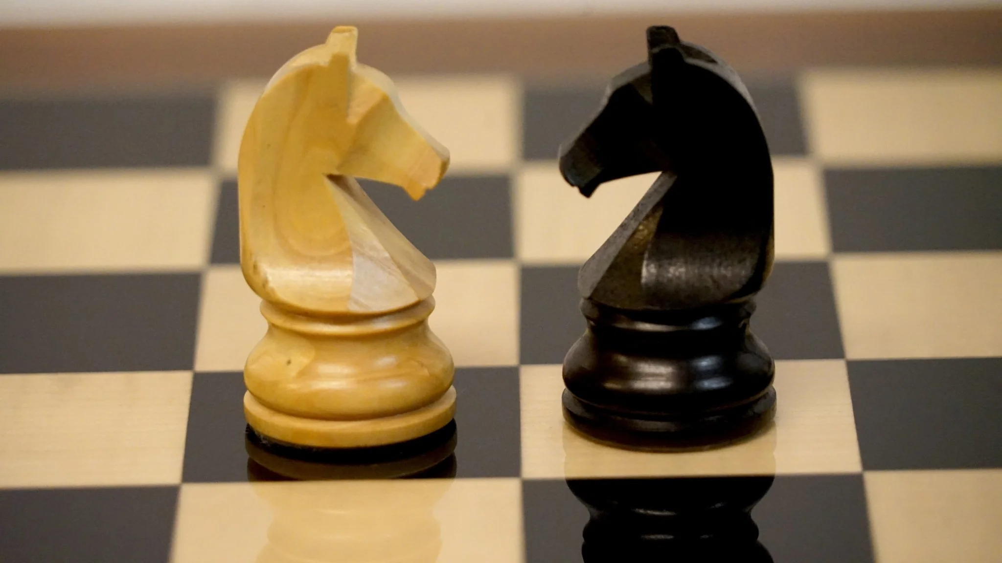 Ensemble jeu d'échecs en poirier teinté et sycomore - Bords palissandre dos santos - laqué - Pièces en Buis - Chavet - Image 2