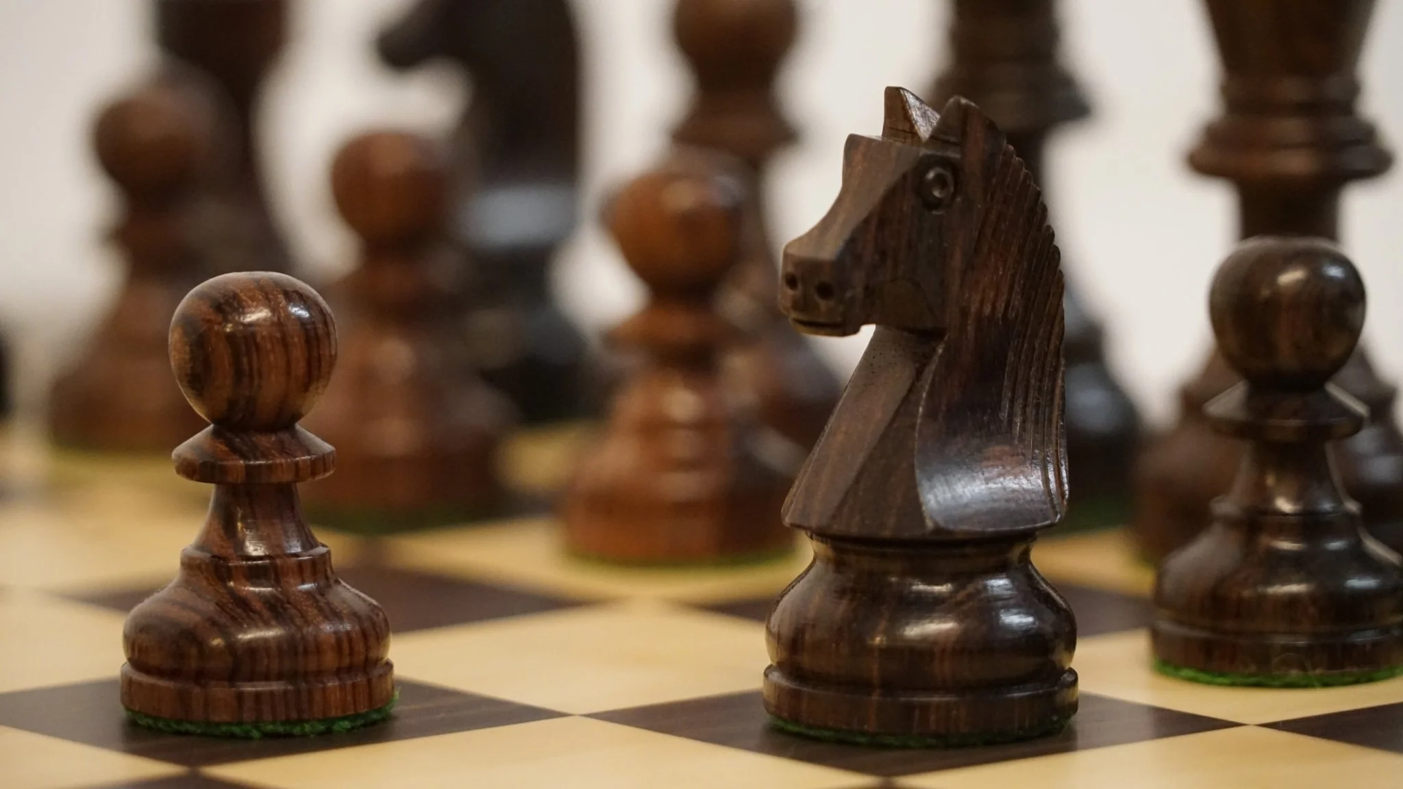 Ensemble jeu d'échecs Club en macassar et sycomore - Pièces palissandre et buis - Image 3