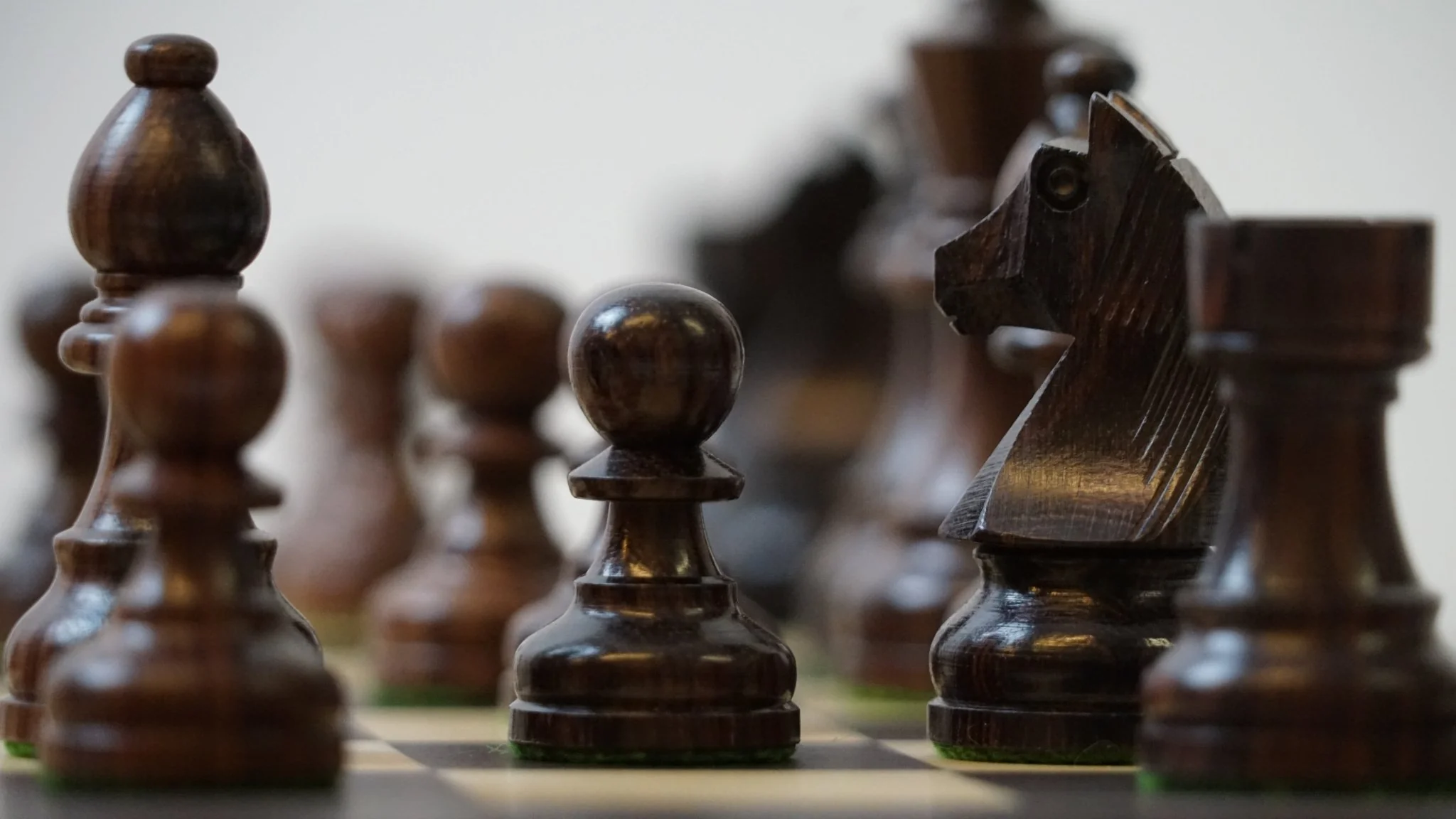 Ensemble jeu d'échecs Club en macassar et sycomore - Pièces palissandre et buis - Image 4
