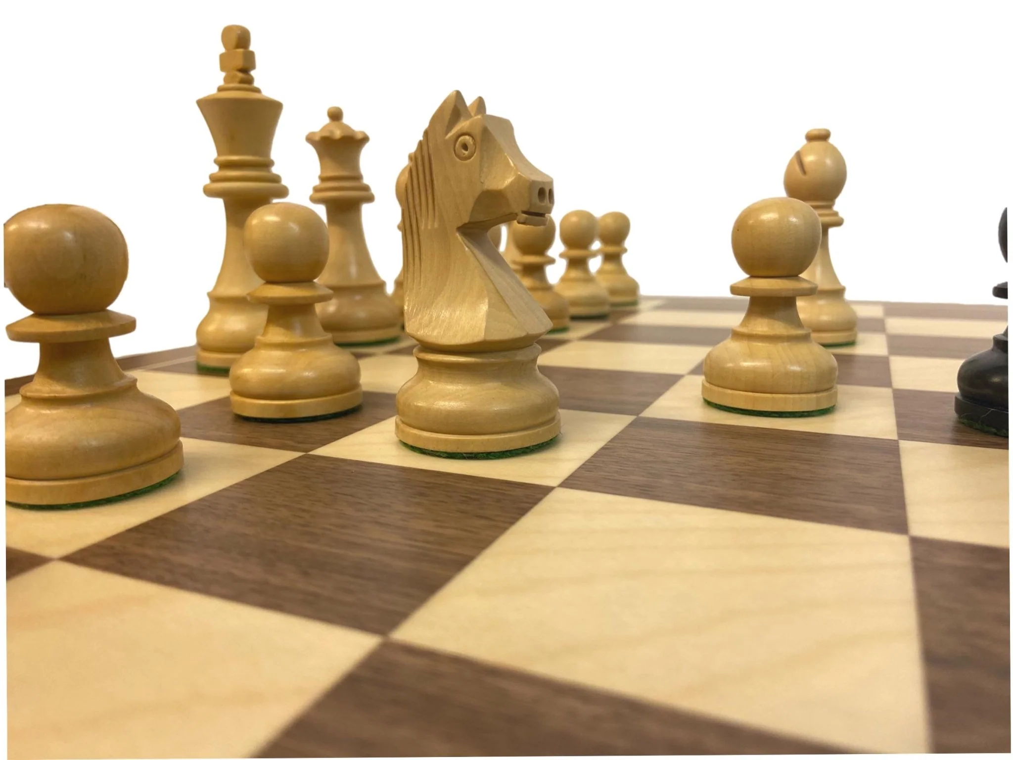 Ensemble jeu d'échecs Club en Noyer - Bords Fins - Pièces en buis teinté - Noir - Image 9