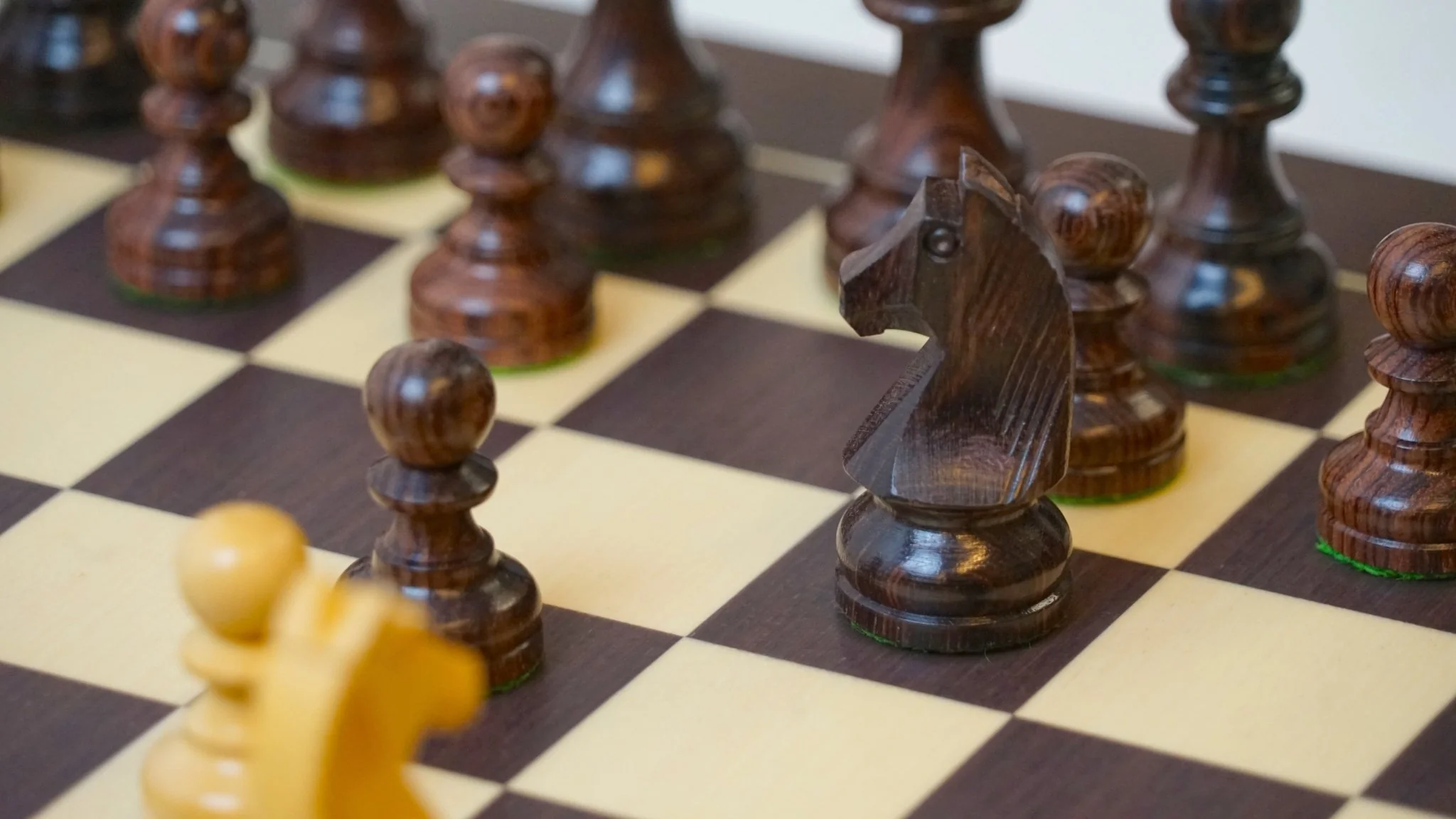 Ensemble jeu d'échecs Club en wengé - biseauté - Pièces en palissandre et buis - Image 2